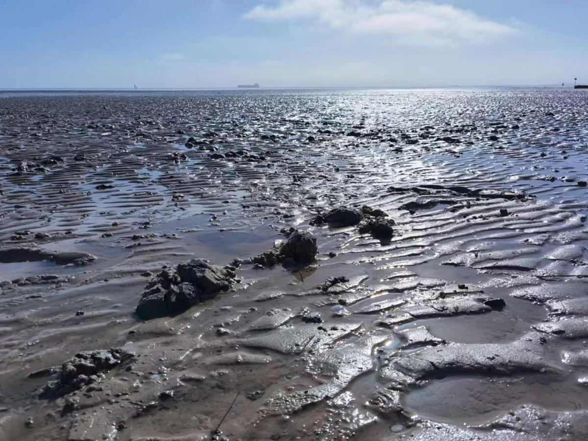 Schaake Schillig-Strandnahe Wohlfuehloase Mit Modernem Flair Und Kostenlosem Parken Zewnętrze zdjęcie